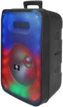 Exotic Audio 12'' Portable Wireless Bluetooth Speaker