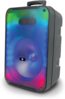 Exotic Audio 12'' Portable Wireless Bluetooth Speaker